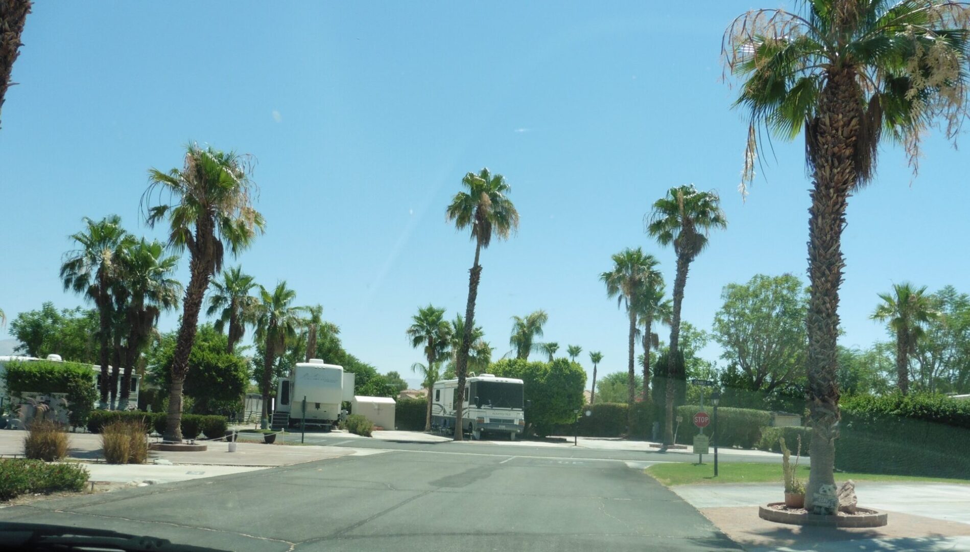 an area with palm trees and RV houses