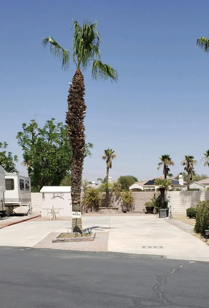 view of the backyard of a house